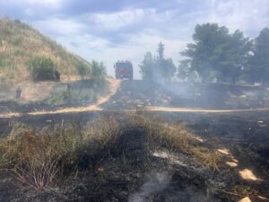 Fire near Veikos Grove: Started from beehives, beekeepers fled