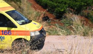 Agrinio: Car plunges 30 meters into ravine – Mother and child hospitalized