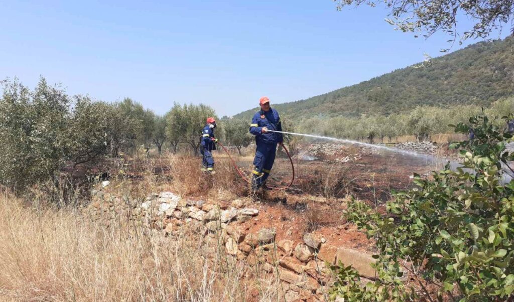 Agrinio arsonist arrested after confessing to four fires in Paravola