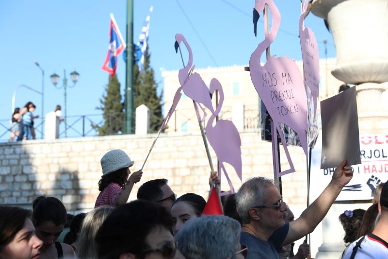 alvania-syntagma-kushner-16