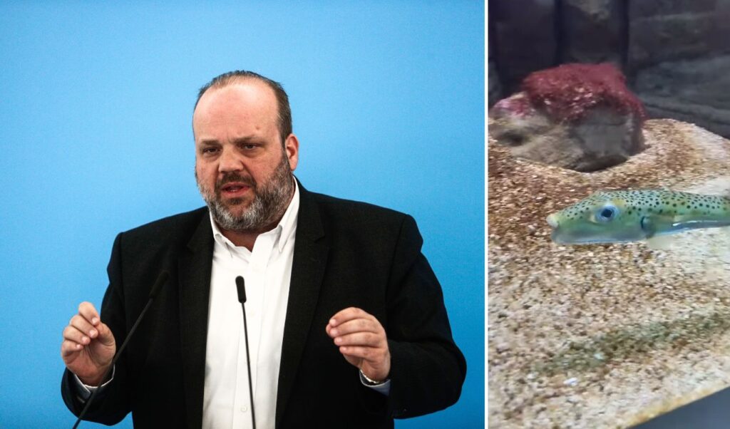 Greece to subsidize fishermen for catching toxic pufferfish