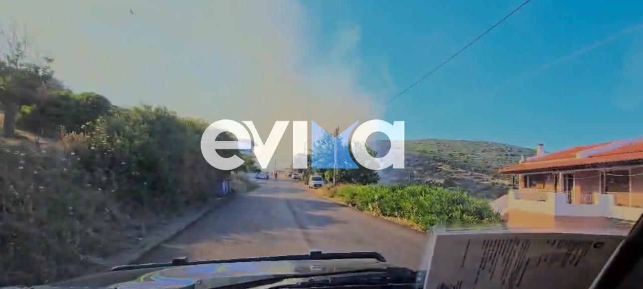 evia-fotia__1_