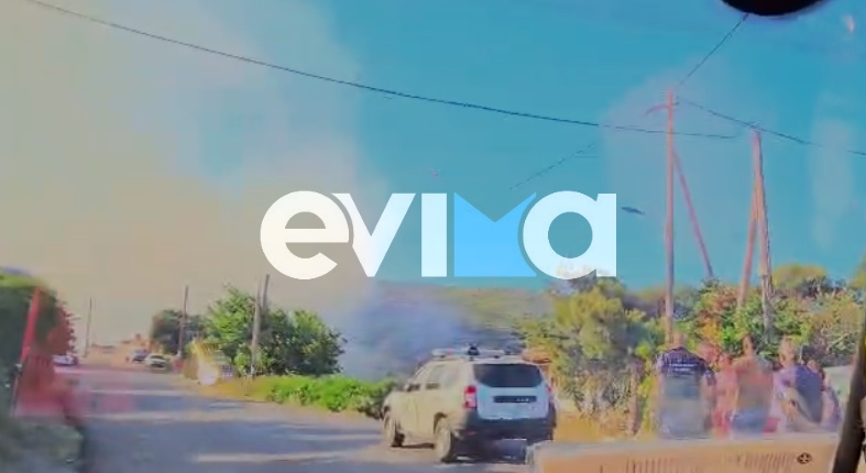 evia-fotia__2_