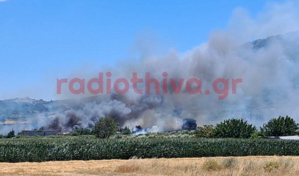 Wildfire in Boeotia: New blaze in Petra triggers 112 evacuation alert toward Livadeia