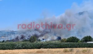 Wildfire in Boeotia: New blaze in Petra triggers 112 evacuation alert toward Livadeia