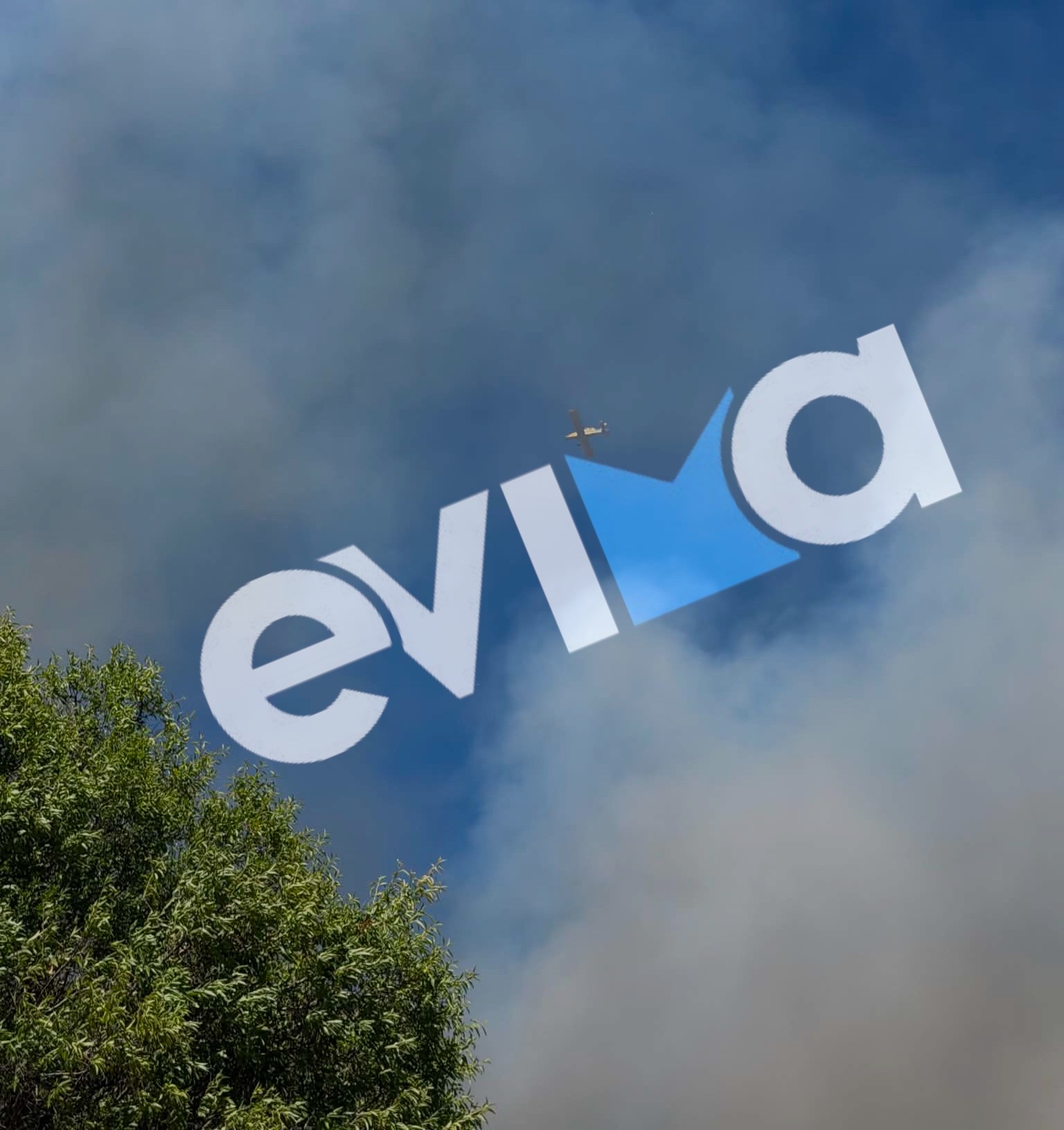 fotia-stin-evia__2_