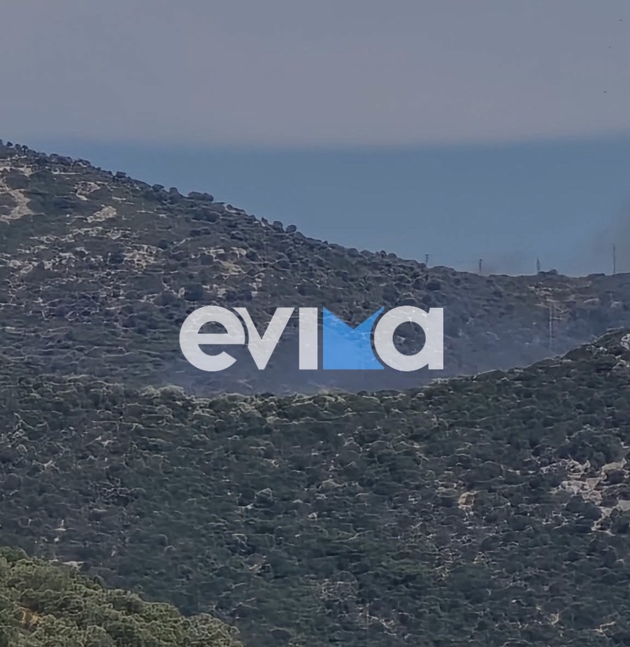 fotia-stin-evia__3_