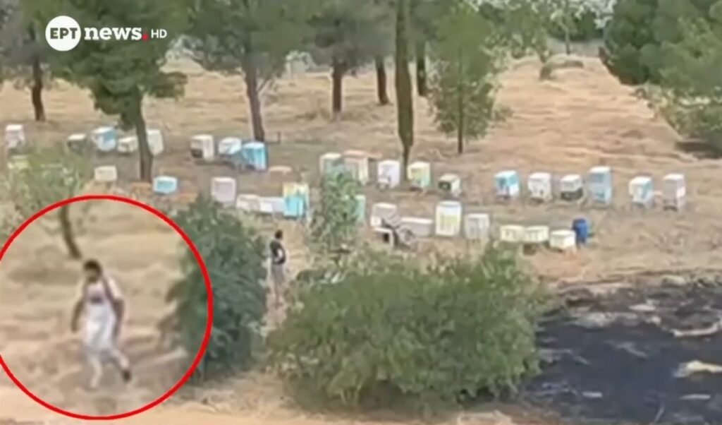Wildfire at Veiko Grove: Beekeeper caught on video fleeing scene