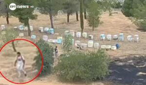 Wildfire at Veiko Grove: Beekeeper caught on video fleeing scene