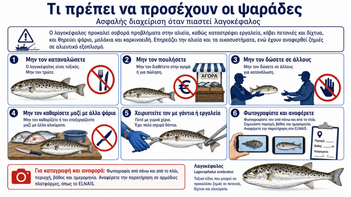 Fishermen and pufferfish safety in Greece