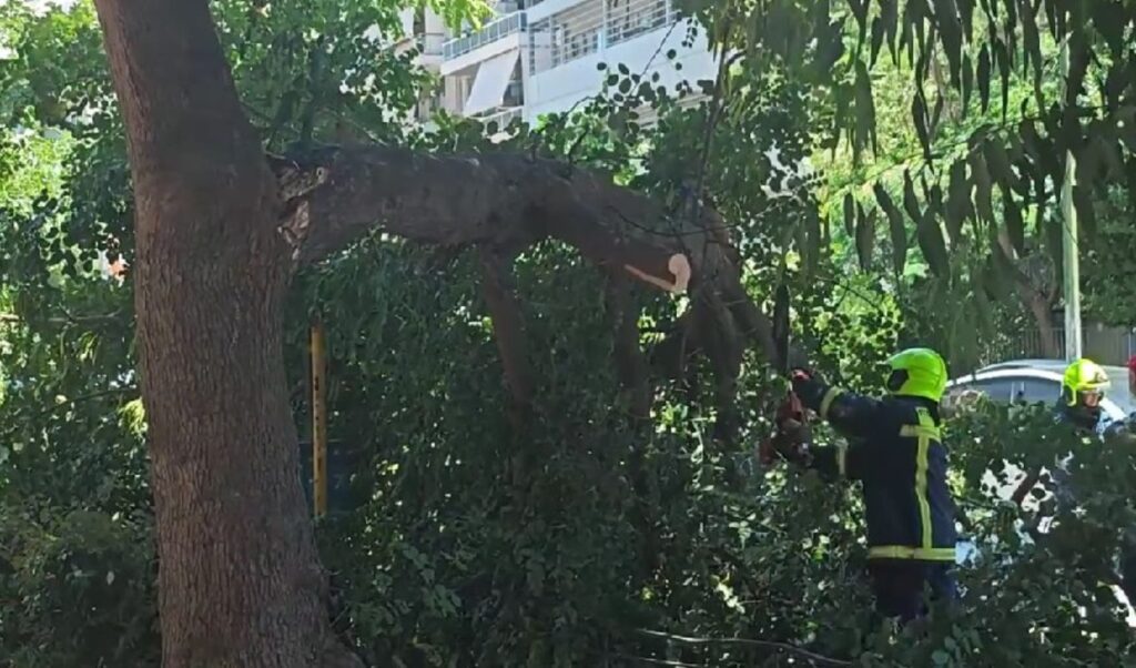 Strong winds wreak havoc in Athens: Fallen trees, trapped driver, wall collapse in Pangrati