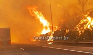 Wildfire in Boeotia: Vehicles drive through walls of flames on Greek highway
