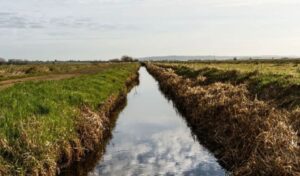 Greece Unlocks €80M for Small-Scale Irrigation Infrastructure