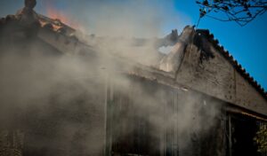 Argolida Deputy Governor: “Burned Olive Trees Can’t Be Replaced, But No Lives Were Lost”