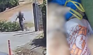 Dead dog found in trash bin with wire around neck shocks Greek town
