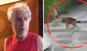 Vrilissia Dog Attack: “Max Was My Whole Life, It Killed Him on the Spot”