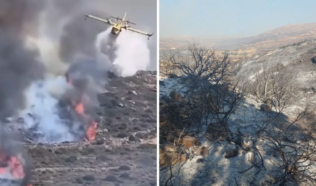 Paros wildfire: All-night battle as ground forces fight the blaze