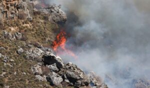 Rethymno wildfire: Vehicle malfunction investigated in firefighters’ deaths