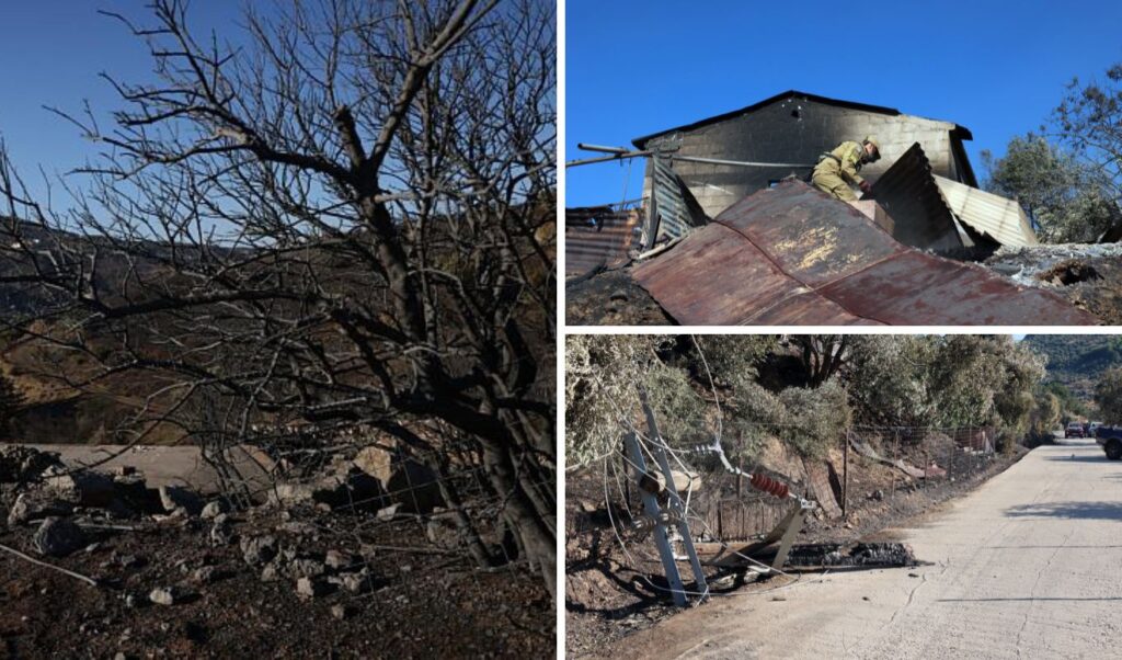 Wildfire destruction in Rethymno and Plomari: Charred landscapes and ash (Photos)