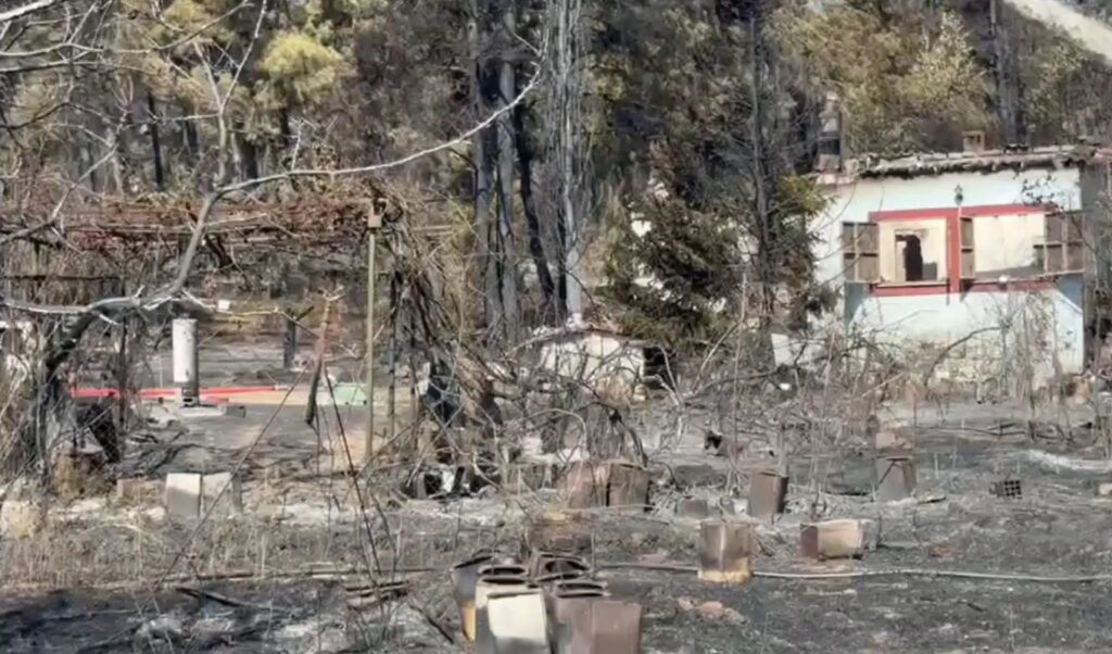 Deadly wildfire in Thessaloniki leaves two dead, child missing