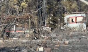 Deadly wildfire in Thessaloniki leaves two dead, child missing