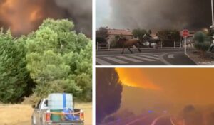 Spain and France Wildfires: Record Burned Areas as New Heatwave Threatens