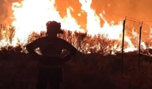 Spain wildfire north of Madrid burns 29,000 hectares