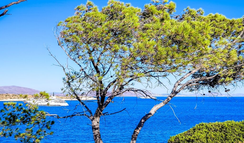 Greece weather forecast: Temperatures rise to 35°C to start the week