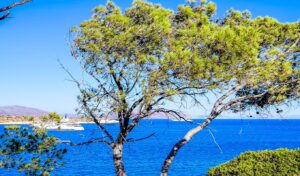 Greece weather forecast: Temperatures rise to 35°C to start the week