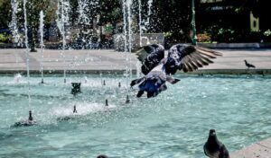 Greece weather Thursday: Up to 37°C with mountain storms
