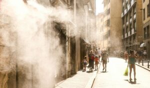 Heatwave kills over 3,700 in France, Belgium and the Netherlands