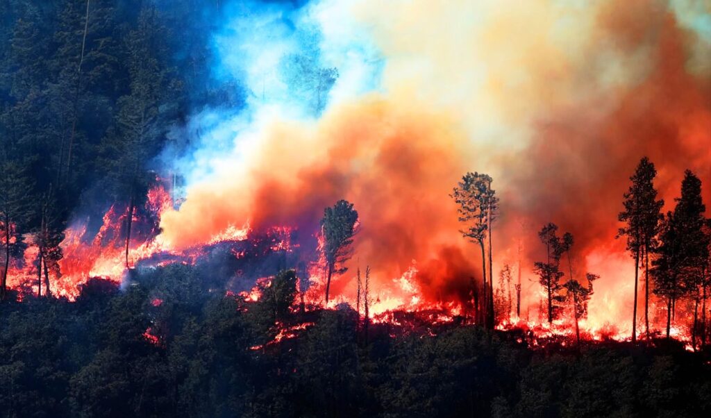 Canada Wildfire Crisis: 800+ Fires Rage as Toxic Smoke Chokes Cities