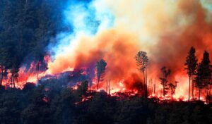 Canada Wildfire Crisis: 800+ Fires Rage as Toxic Smoke Chokes Cities