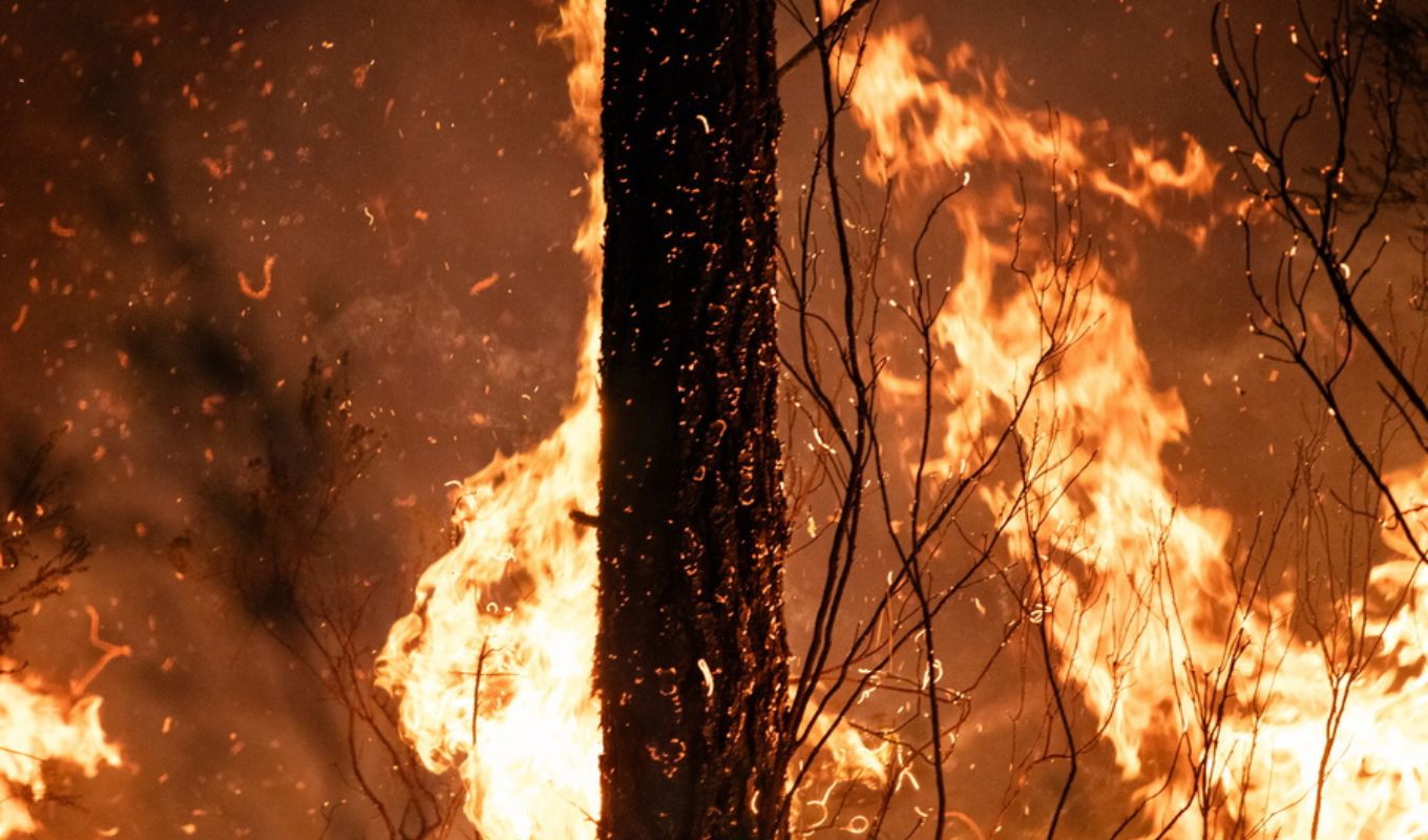 Ring of Fire: 500,000+ Evacuated as Wildfires Rage Across France and Spain