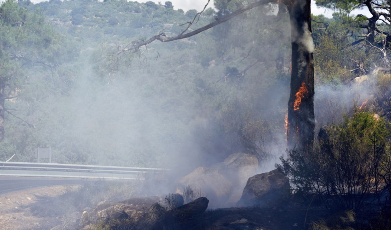 Ring of Fire: 500,000+ Evacuated as Wildfires Rage Across France and Spain