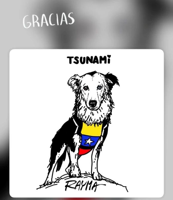 Tsunami rescue dog Venezuela earthquake
