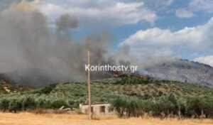 Greece wildfire in Korinthia contained after major firefighting operation