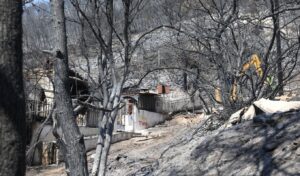 Salamina Fires: Negligence Suspected in Peristeria, Arson Investigated in Selinia