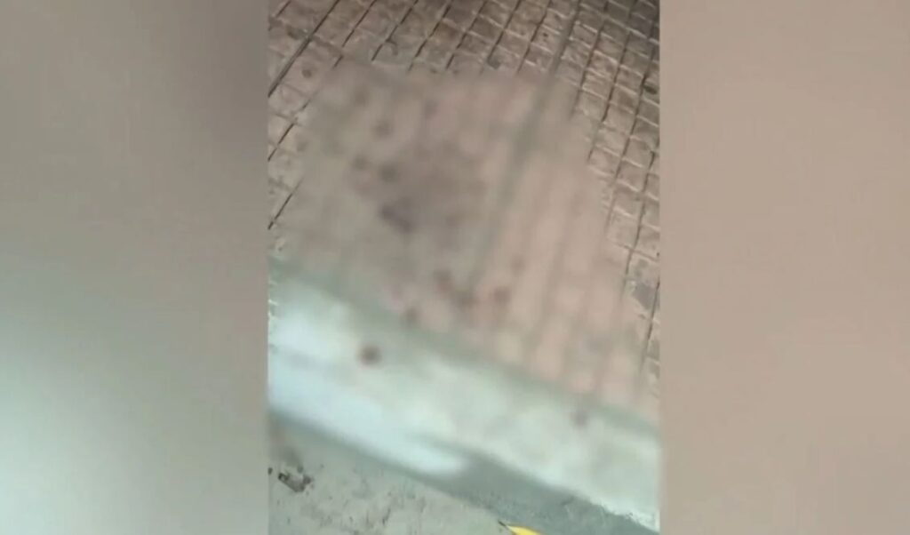 Agios Dimitrios stabbing: Parents speak out after 18-year-old son attacked
