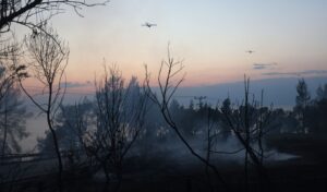 Siviri Chalkidiki wildfire: Two DEDDIE contractors released after voluntary prosecutor appearance
