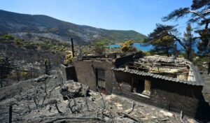 Greece Wildfire Investigation: Power Line from Wind Farm Under Scrutiny