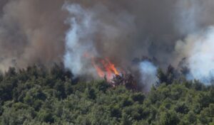 Kefalonia wildfire: 44-year-old arrested for arson, previously convicted for same offense