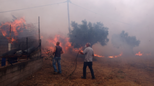 Megara wildfire: Mayor’s urgent plea for more aircraft as 15 uncontrolled fire fronts rage