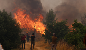 Megara wildfire rages out of control: “Multiple fronts,” warns mayor