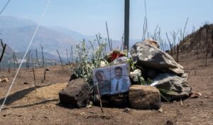 Devastating aftermath: deadly Rethymno wildfire leaves Crete in ruins