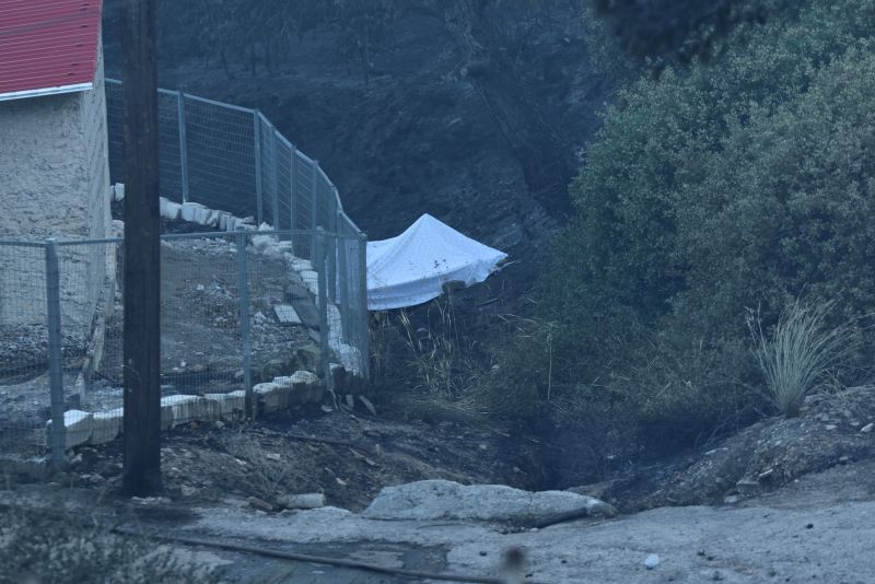 fotia-salamina-zeugari-2