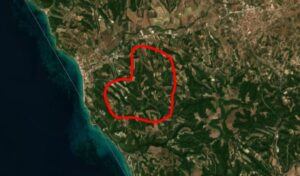Siviri Chalkidiki wildfire: Copernicus satellite data reveals 2,480 stremmata burned