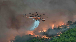 Mega fires: What the Porto Germeno wildfire reveals about Greece’s fire crisis