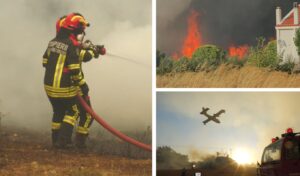 West Attica Wildfires: Firefighters Race to Save Louba Village from the Flames