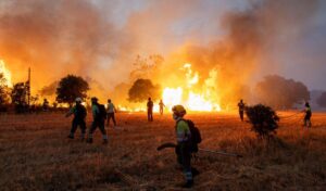Spain wildfire nightmare: 800 evacuated as Huelva blaze rages out of control